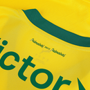 Camisa Palmeiras III 25/26 - Torcedor Masculino - Verde e Amarelo