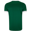 Camisa Palmeiras I 25/26 - Torcedor Masculino - Verde e Branco